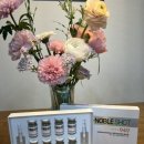 시너지케어메디스 | 홈케어 끝판왕 메시엘 PDRN 앰플 솔직 후기｜집에서 피부과 효과