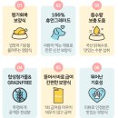 원기 | 듀먼 강아지보양식 환절기강아지 원기회복 보양식 후기 (삼계탕, 북어탕, 오리탕)