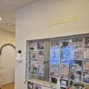 강아지미용실 이미지