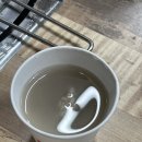 꼴통돼지 이미지