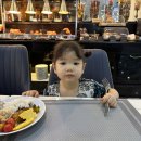 아기랑 라오스 여행 : 28개월 아기랑 4박 6일 여행 후기 (2) / 아마리