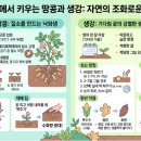 [곡우] 곡식을 살찌우는 비 이미지
