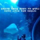 당진심리상담센터 이미지