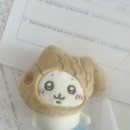 아미스닷 이미지