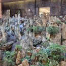 새마을한우단지 이미지