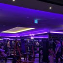 더킹짐 3호점 | 선부동헬스장 킹짐3호점(선부점) 1:1PT 체험 후기 "등 운동 마스터"