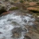 새재로그하우스 이미지