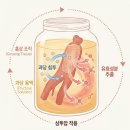 유림어린이집 | 답례품 추천 건강 루틴을 챙기고 싶다면 ? - 프리미엄 고려 홍삼청