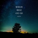 페트리커