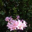 지품초등학교 이미지