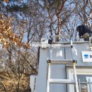 오리정로 이미지