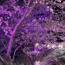 스테이믈믈믈 이미지