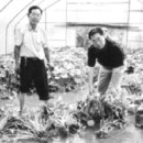 박정원농장 이미지