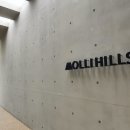 몰리힐스(MOLLI HILLS) 이미지