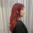 델피앙헤어 | 델피앙헤어에서 완성한 생기 가득 체리레드!