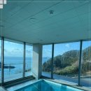 더레지아D 이미지