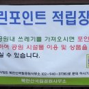 선림 이미지