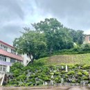 매괴고등학교 | 충북 음성군 매괴고등학교 퍼스널컬러 강의 진행후기