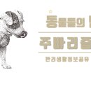주바리즘 네이버블로그