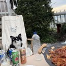 언동마을 신일(아) | 면 텐트 브랜드 쿠디 파밀리아 감성에어텐트, 인천 키즈 캠핑장 동계 캠핑 다녀왔어요!