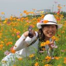 꿈이 있는 곳 이미지