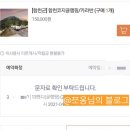 합천호 코지글램핑 카라반 캠핑 13멘디 그저그랬던 내돈내후