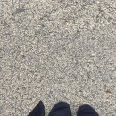 고전무용-주말(초급B반) | 추억과 겨울이 오고있어❄️ / nt live 오이디푸스