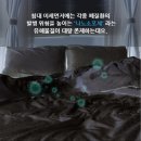 봄날홈케어 이미지