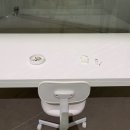 해골 | 데미언허스트 해골 동물박제 작품 전시 후기