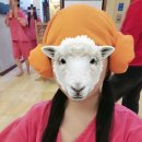 북수원온천 | 북수원온천 후기(데이트)｜몸도 마음도 힐링하러 다녀왔다