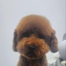 멍 이미지