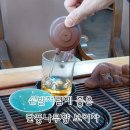 지유명차 이미지