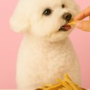 오하나 이미지