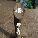 계림로(남) 이미지