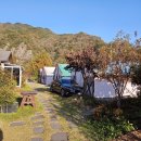 멋진강아지 | 충주 팔봉글램핑장 명당 추천 강아지 동반 내돈내산 이용후기