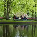 제일화원 이미지