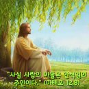 2024-07-19연중 제15주간 금요일＜사람의 아들은 안식일의 주인이다.＞ 이미지