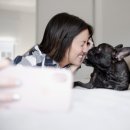 해피펫 | 우리 아이를 위해 알아본 전주광주동물장례식장, 해피펫 후기