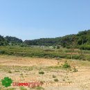 사강시장 이미지