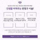 아이더블유에스 이미지