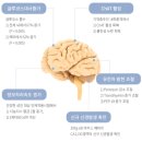 주식회사 하나로메디 이미지