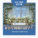 블루미파티하우스 | 부천 돌잔치 ‘블루미파티하우스’ 솔직 후기– 양배 부부의 금똥이 첫 돌 상상기 🎂