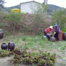 효제농장 이미지