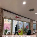 왠보보 | 잠실 키즈미용실 뿌띠보보 11개월아기 미용후기