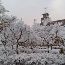 진산농장 이미지