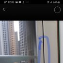 강릉대로 이미지