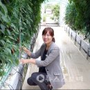 한국농촌인력센터 이미지