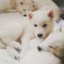 용기농장 이미지