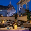 라우루스 이미지