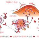 올댓허브